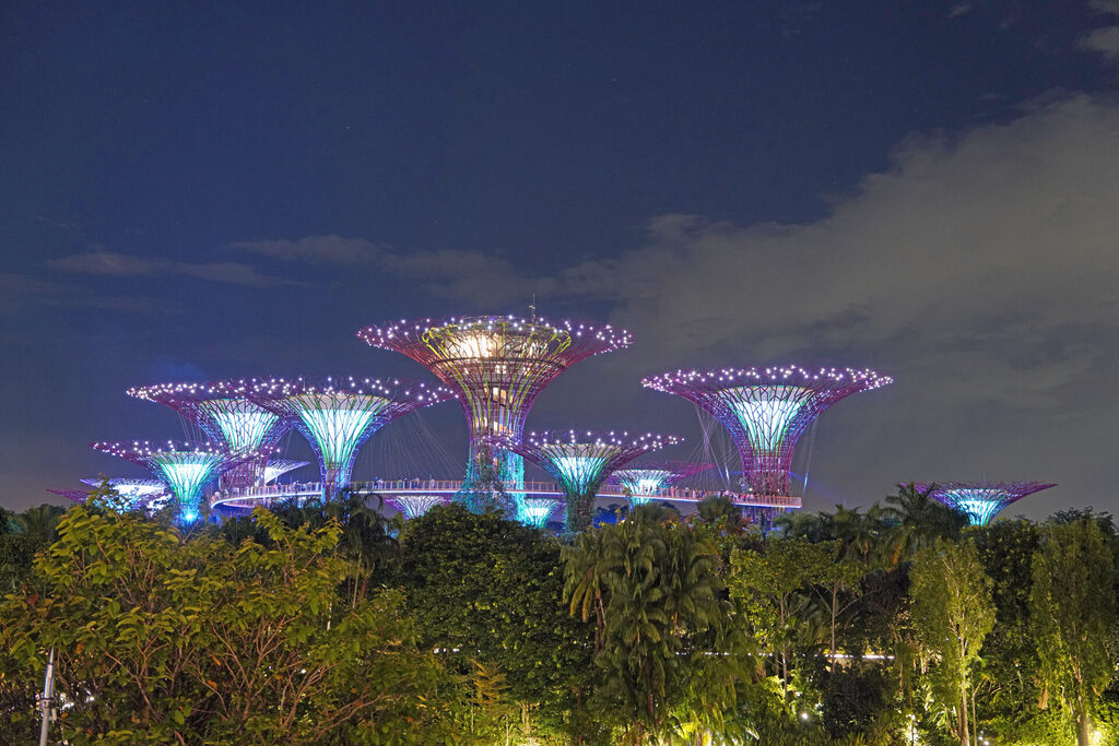 Die Light-Show am Abend in den Gardens by the Bay in Singapur mit den illuminierten Supertrees